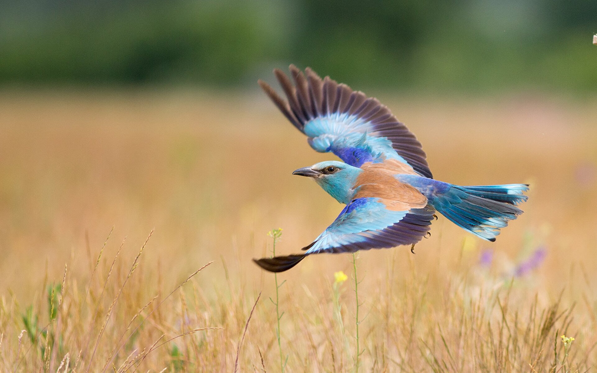 _未来运动教育:创新课程激发潜能_,未来运动主题乐园