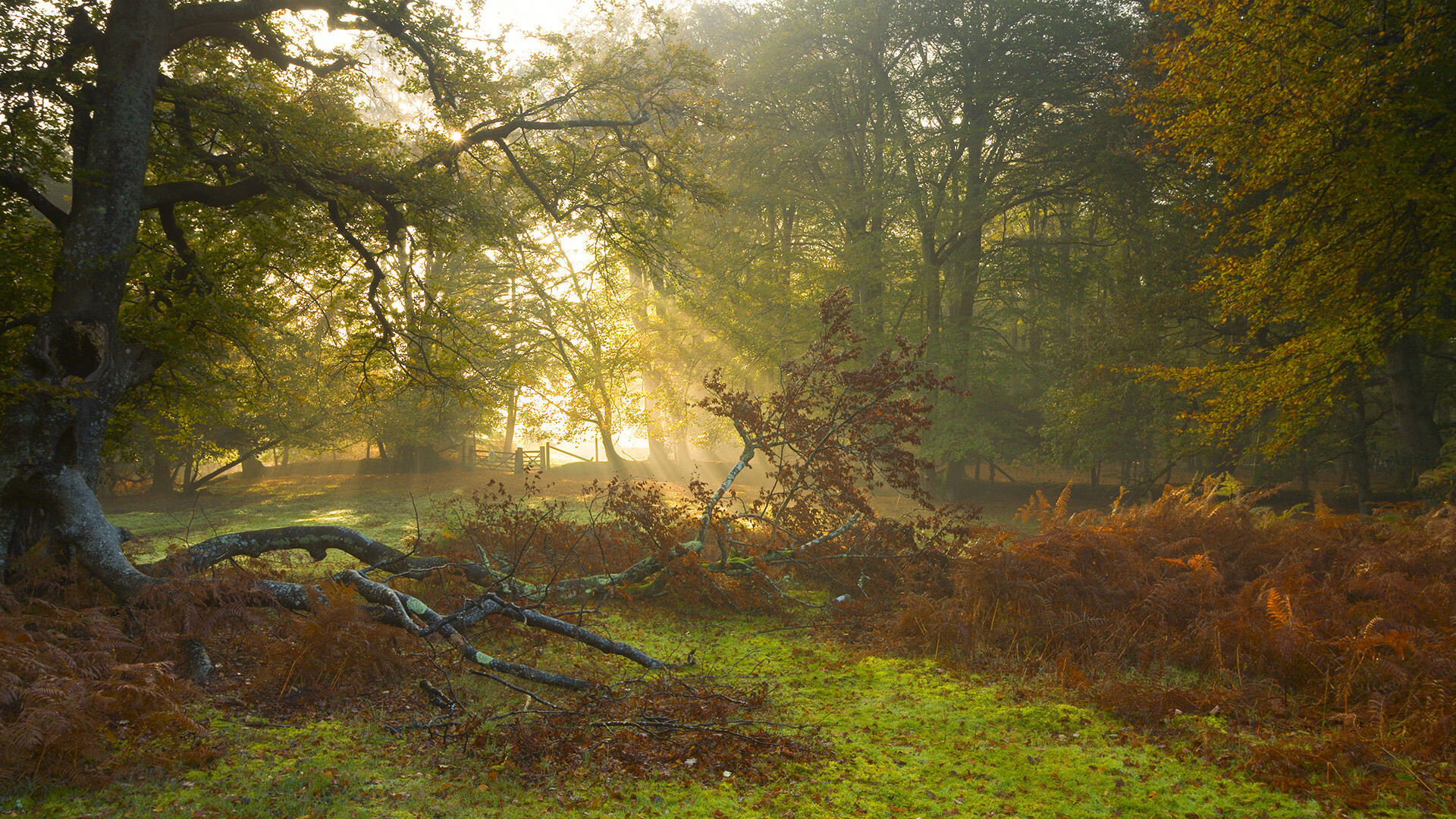 “广州队举办青少年足球体验营”,广州足球青训机构
