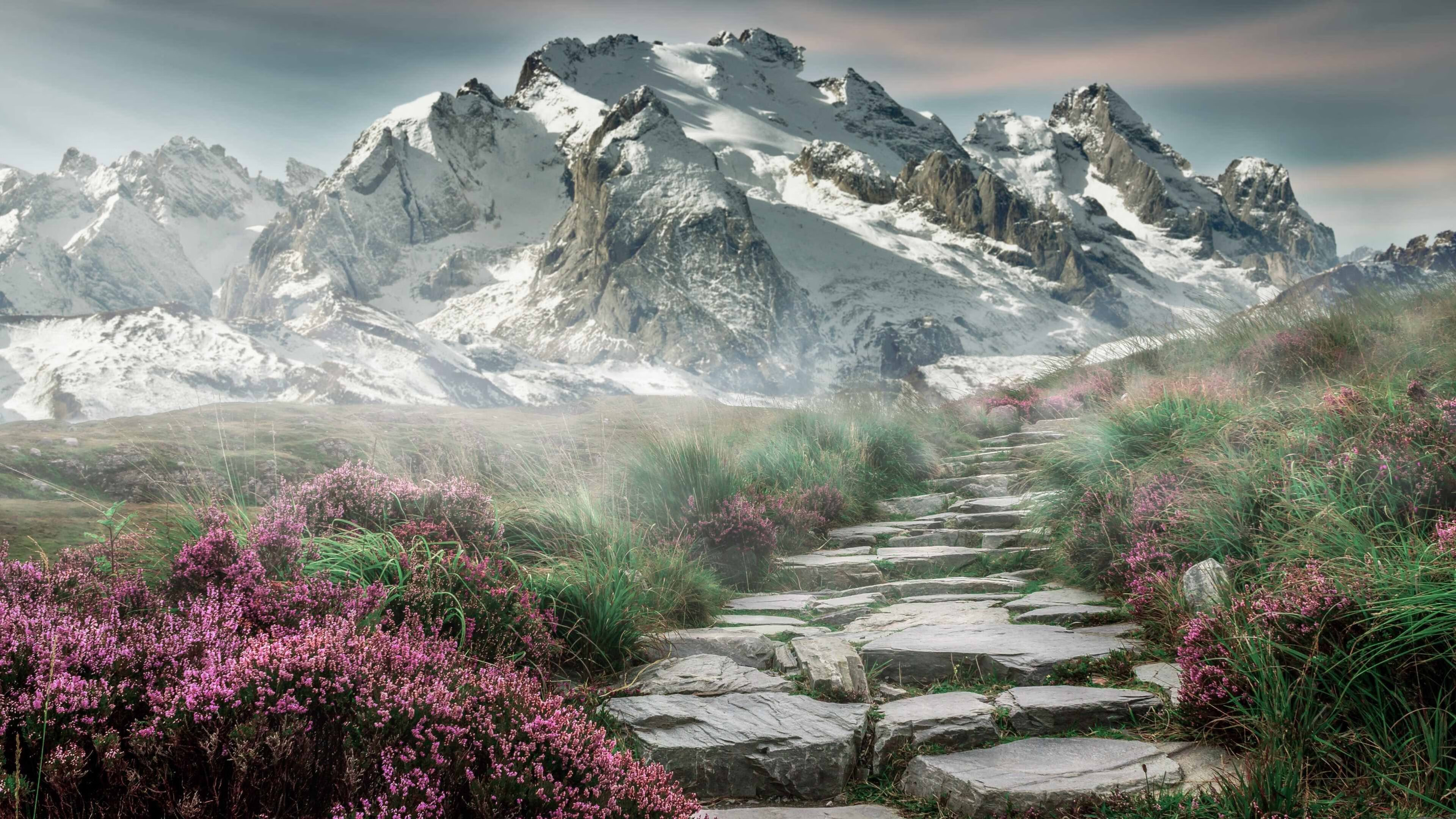 九游电脑版-“法甲激烈角逐，豪门战斗逐日升级”，法甲 豪门