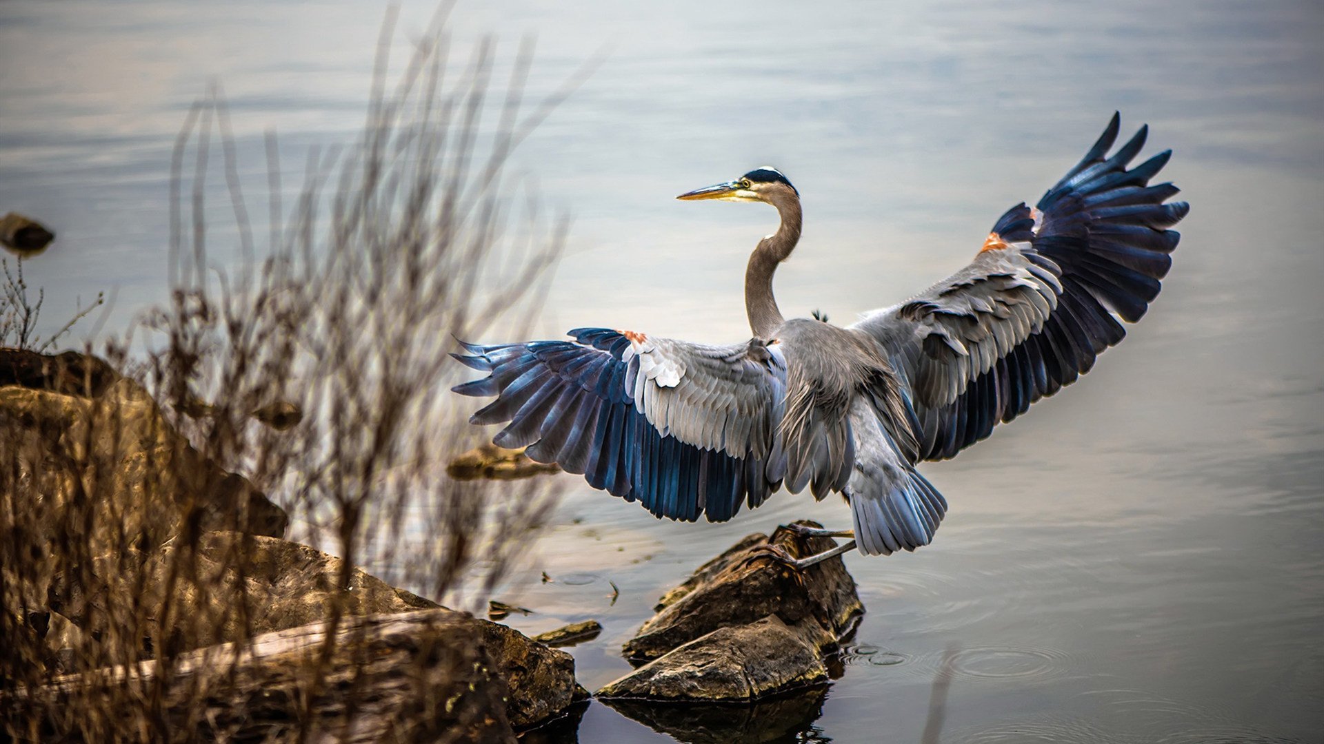 “热火队防守稳固,成功限制对手得分”,热火防守怎么样