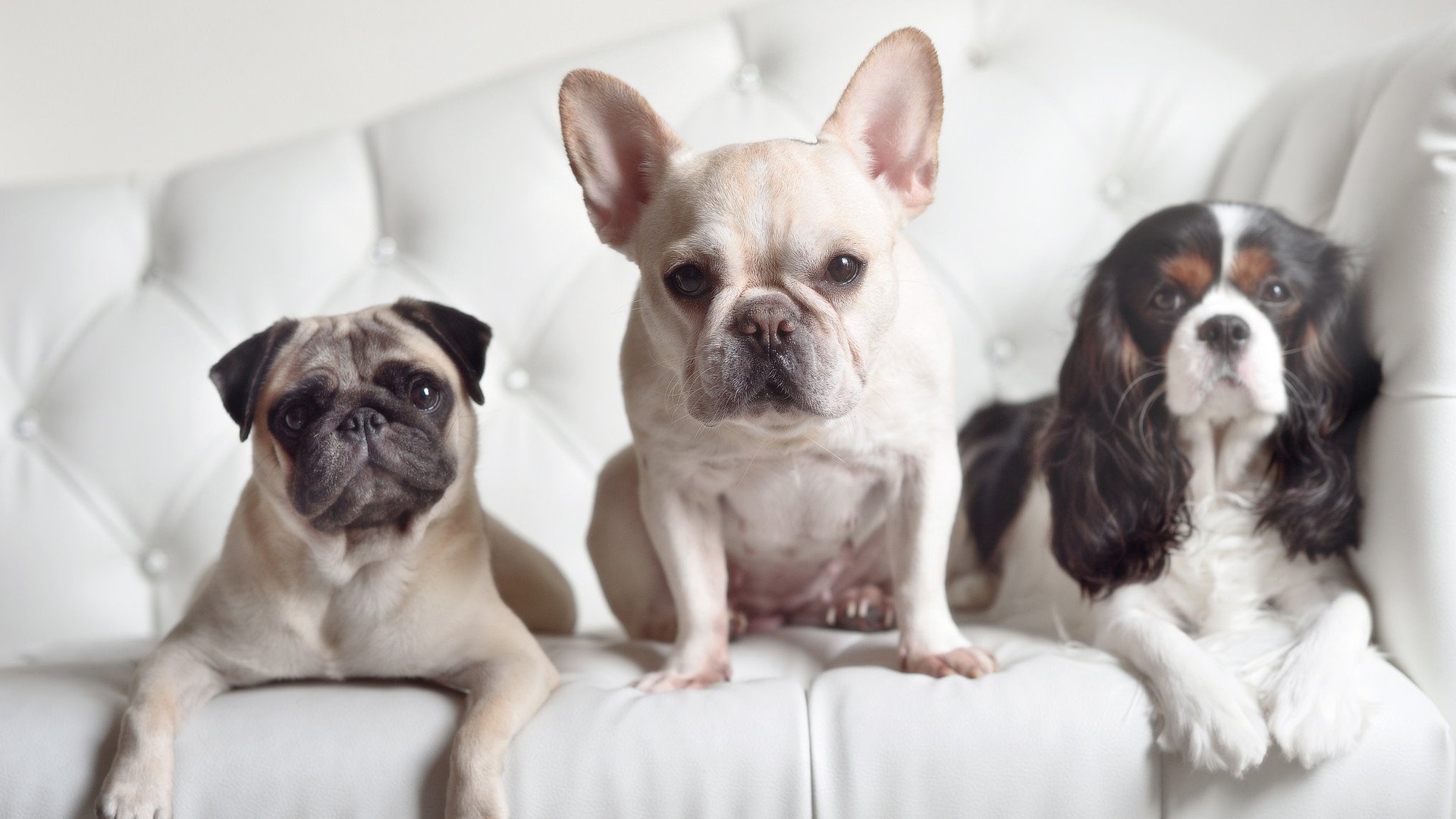 “青少年足球公益培训班在乡村地区开班,点亮希望”,青少年足球训练营招生