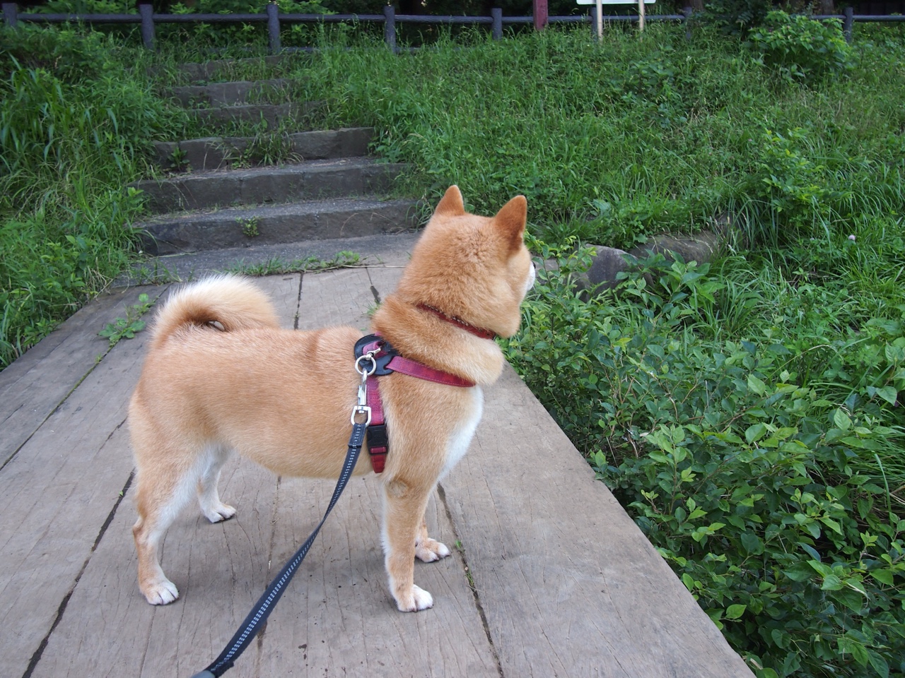 不眠之夜：季后赛的激烈对抗瞬间，不眠之夜 时间段区别