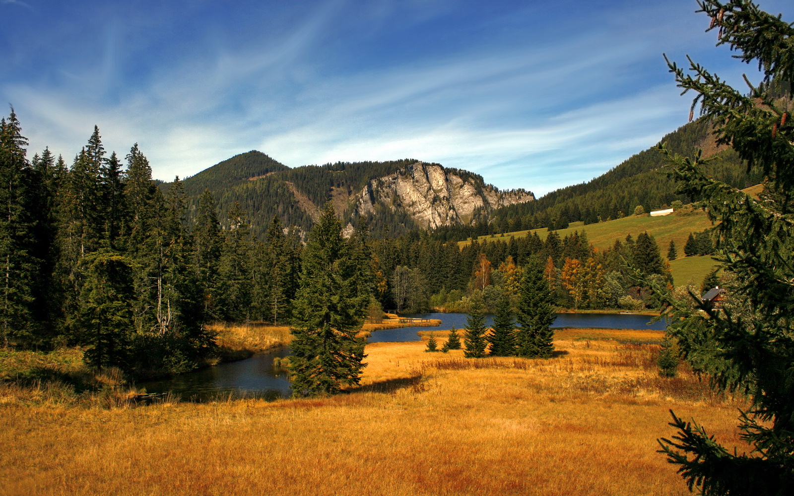 中超外援使用比例下降鼓励本土球员上位,中超外援规则及限制政策