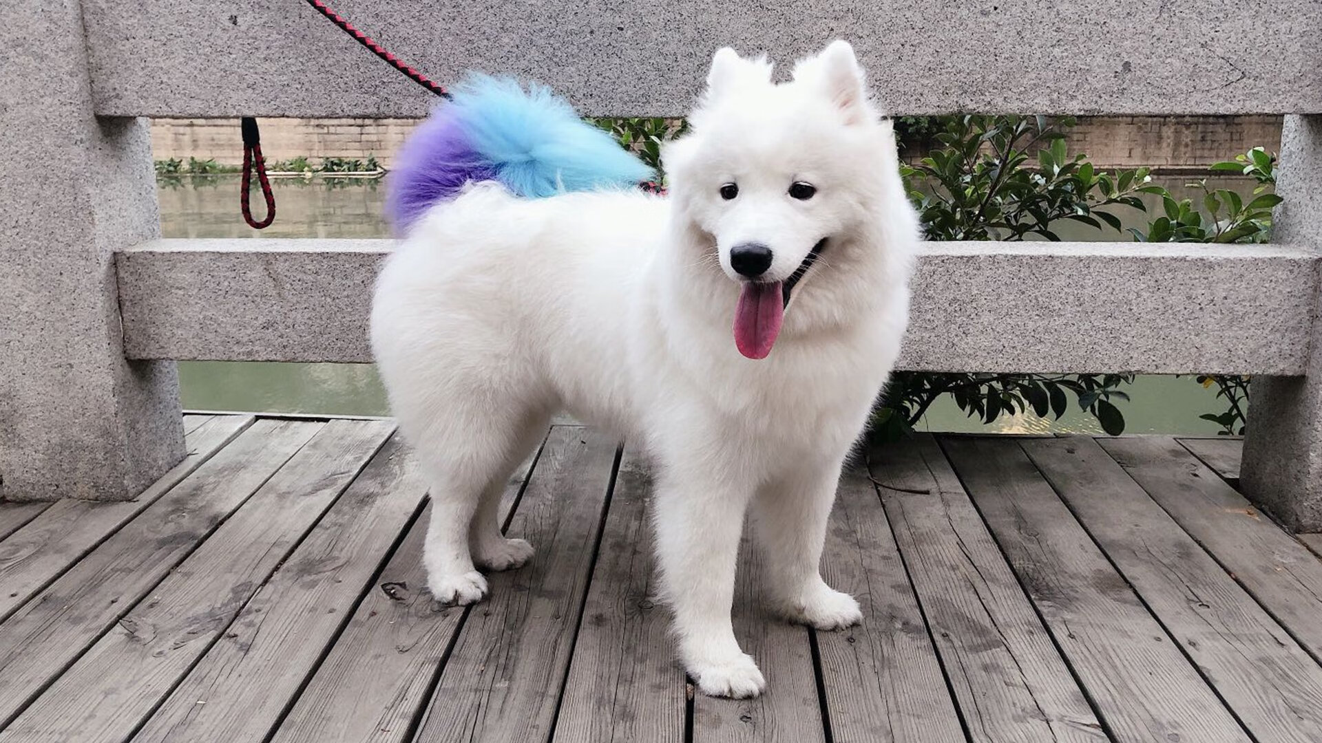 乡村划船运动会：乡土文化新亮点