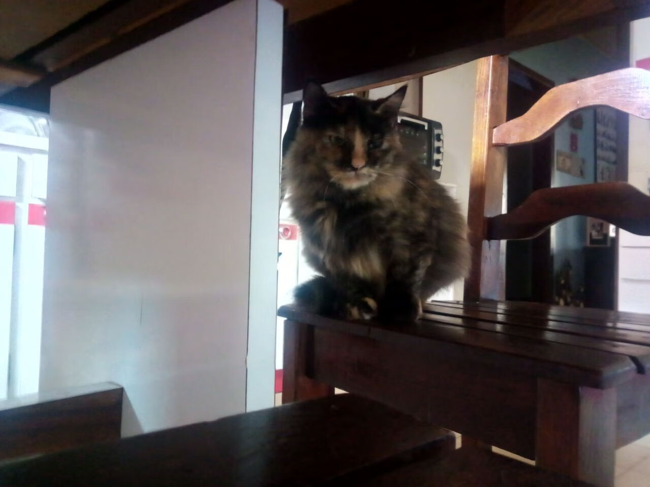 九游下载中心-史上最激烈的冠军争夺战，史上最激烈的冠军争夺战是什么