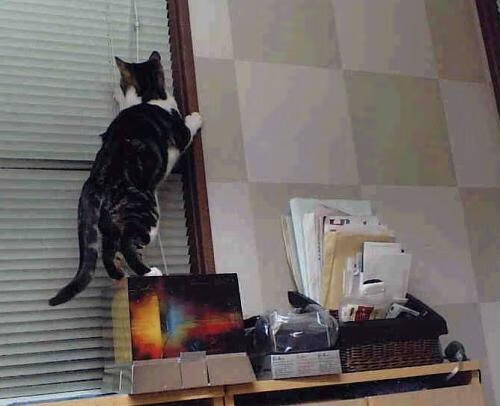 大手笔投资:新技术助力车队突围