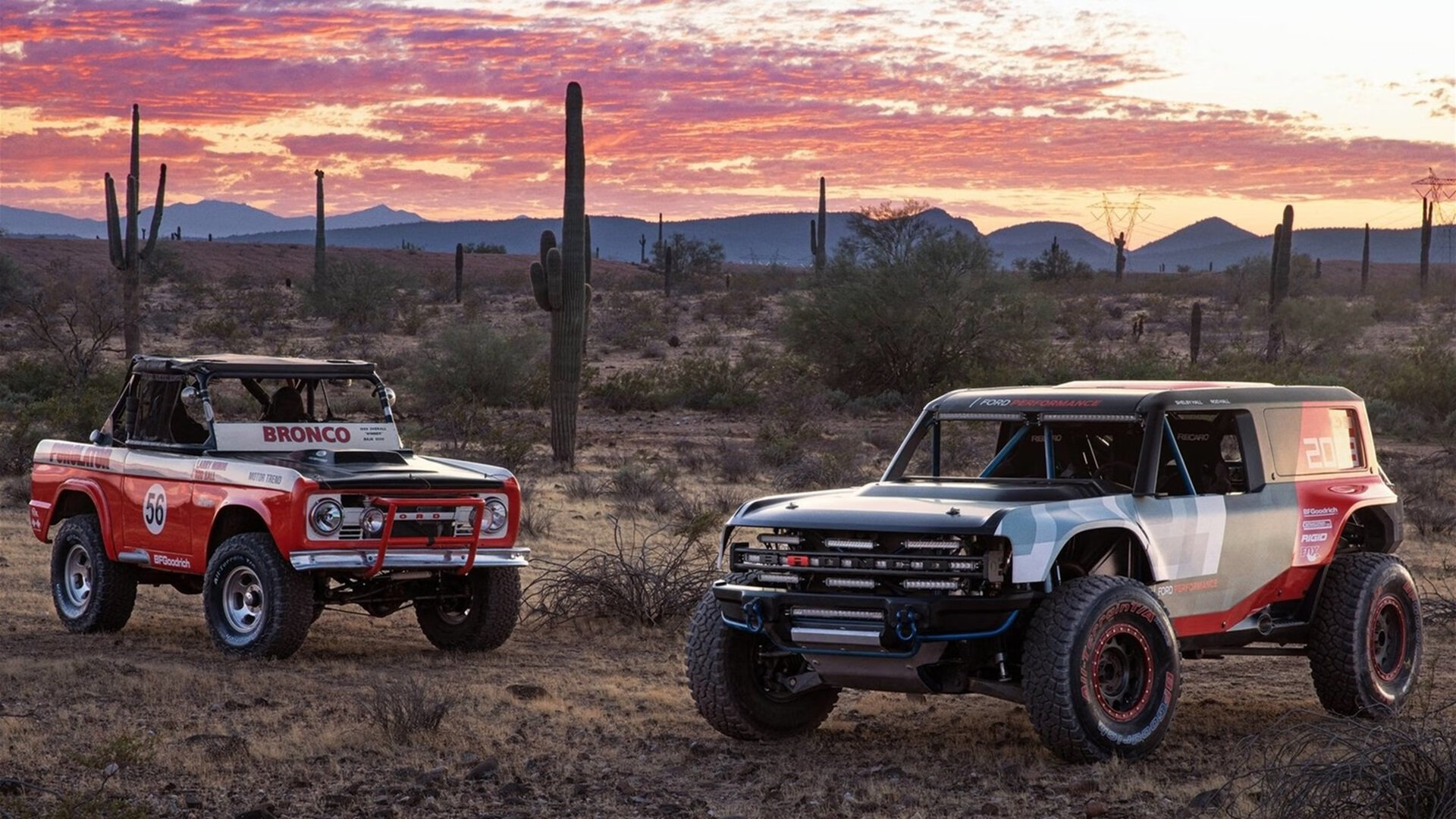 夜幕下的灯光跑,城市夜色中的运动狂欢,灯光下的城市夜晚