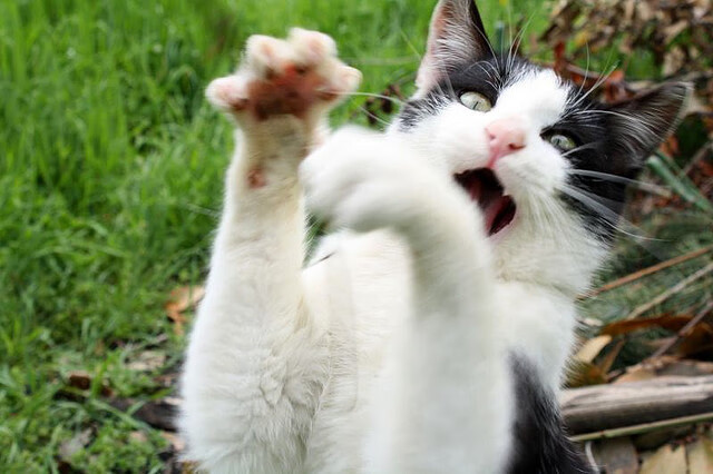 拜仁强调边路传中，队员精准传球成胜负关键，拜仁传奇边后卫