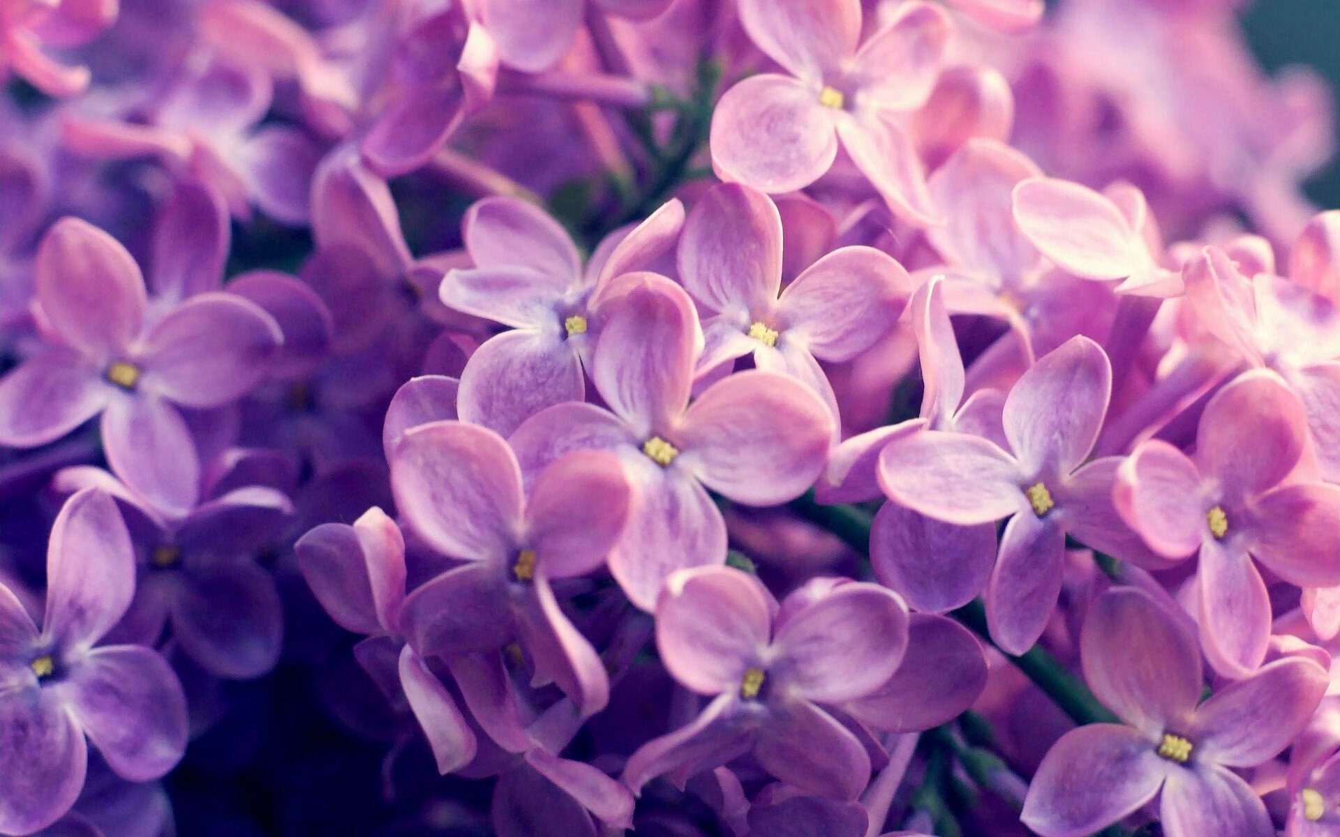 欧冠“冷门逆袭”:弱旅的逆天崛起之路,欧冠十大冷门