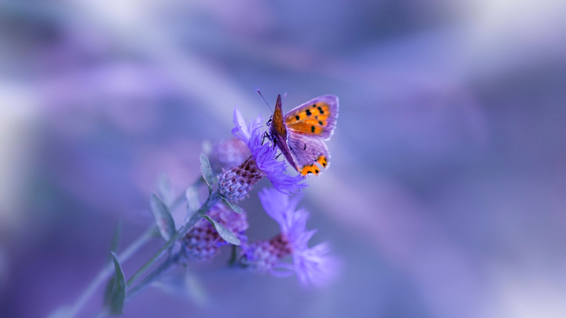 IG公开选手健康状况年度评估报告