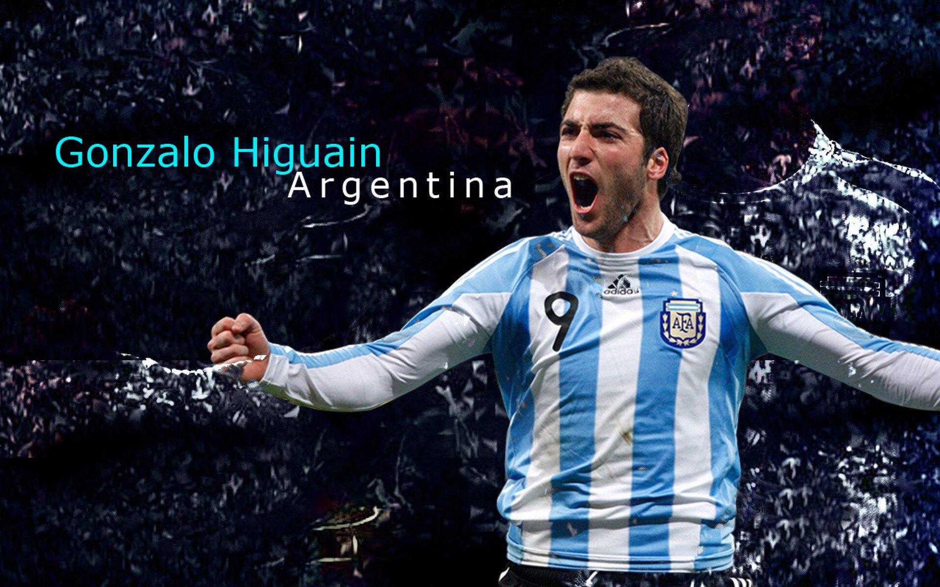 伊朗马术协会与国际马术联合会合作，举办国际马术交流活动，促进技术交流。