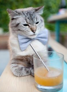 九游sports-多特蒙德前场火力梗阻，球队进攻组织混乱，多特蒙德球队实力