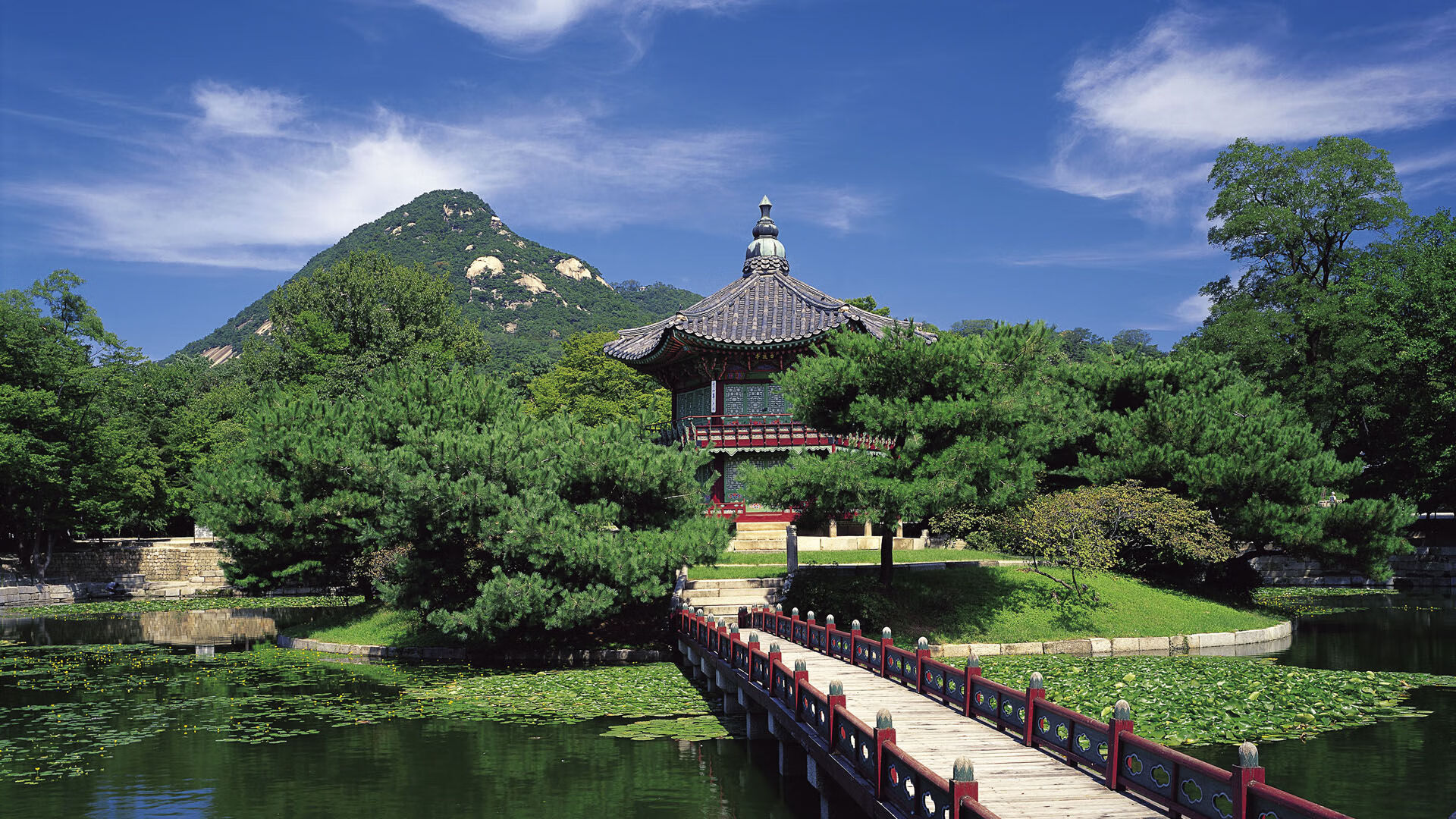 川崎前锋锋线火力全开,川崎前锋摩托车