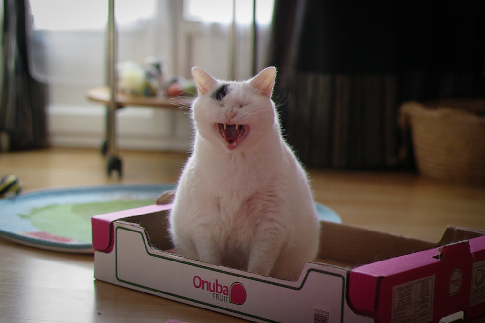 精彩CBA篮球比赛即将开赛,球迷翘首期待,cba精彩的比赛