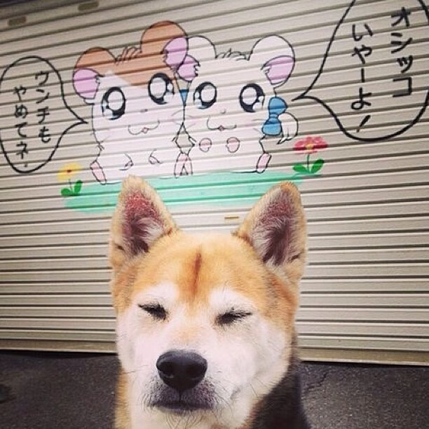 纽伦堡遭遇人员伤退,球队备战受影响,纽伦堡ds