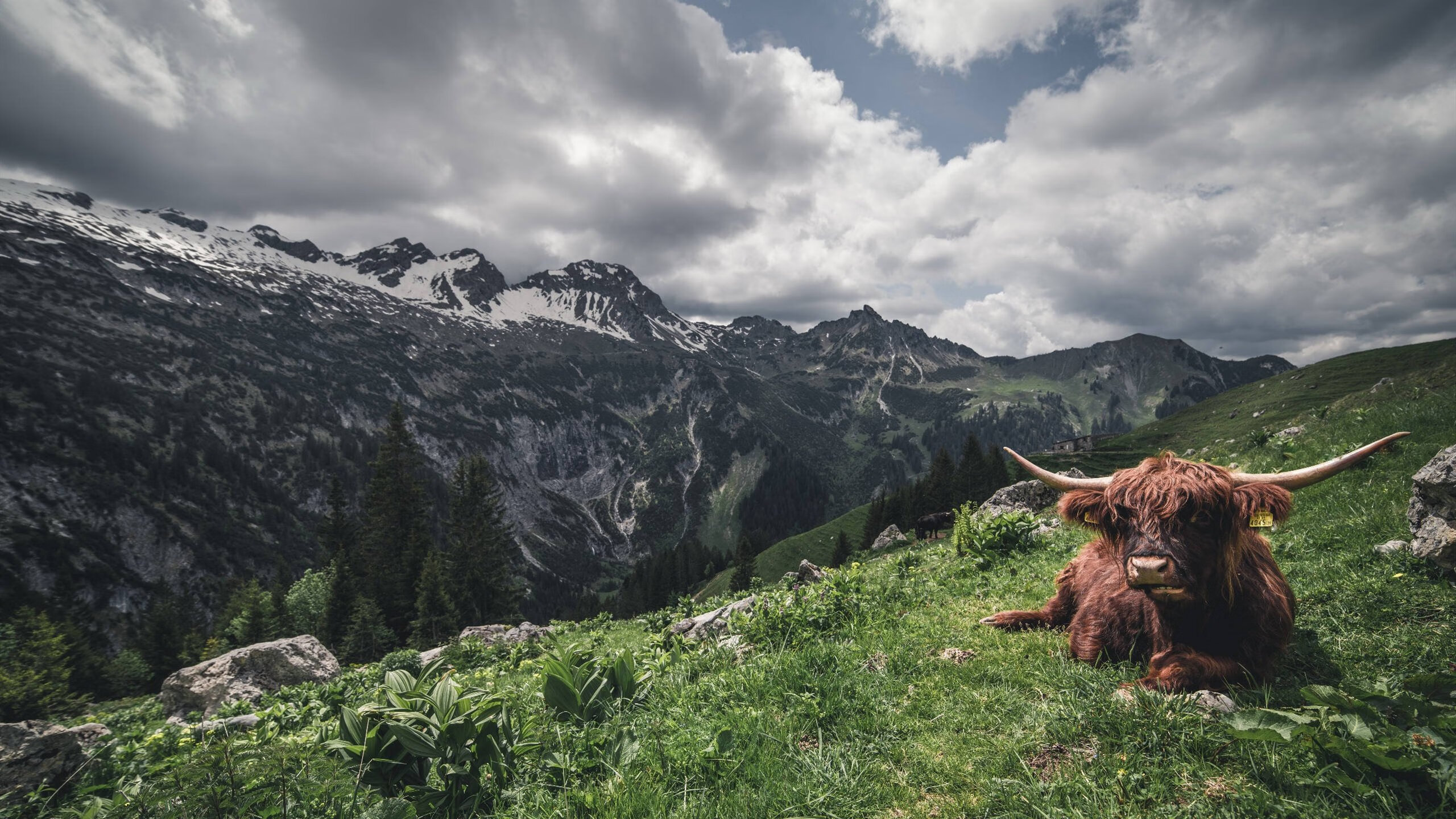 Jiu You-足球盛宴继续燃烧，球员实力较量悬殊，足球盛宴2021