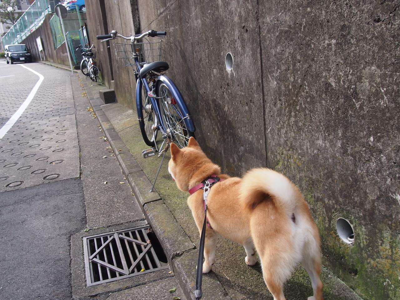 中国篮球职业联赛经济效益分析与策略研究,篮球经济环境分析