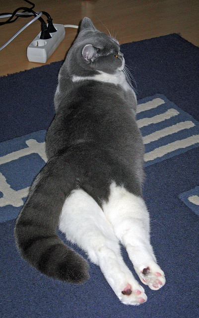 新闻中心完成数字经济布局，数字化经济新闻