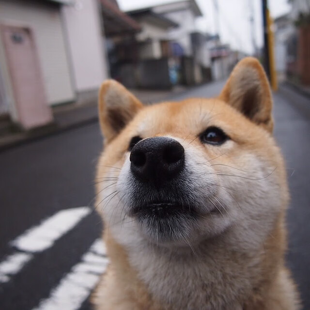 篮球运动员心理应激缓解方法实证研究,篮球运动员的心理特点