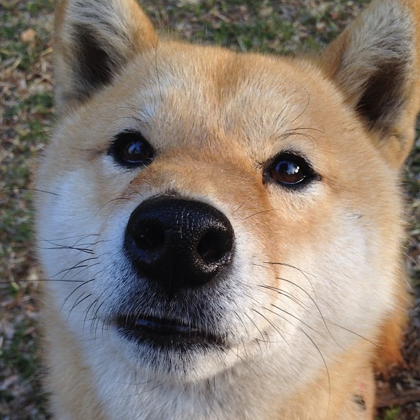 五大联赛教练年薪排行是否与战绩相符，五大联赛教练工资