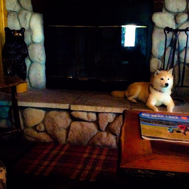 五大联赛是否更关注球员在压迫下的第一脚处理能力,五大联赛球员变动