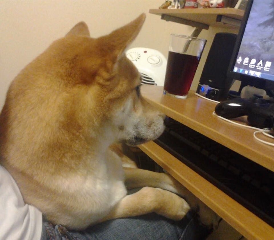 奥预赛中国足球爆冷 战术调整成关键话题,中国足球对策