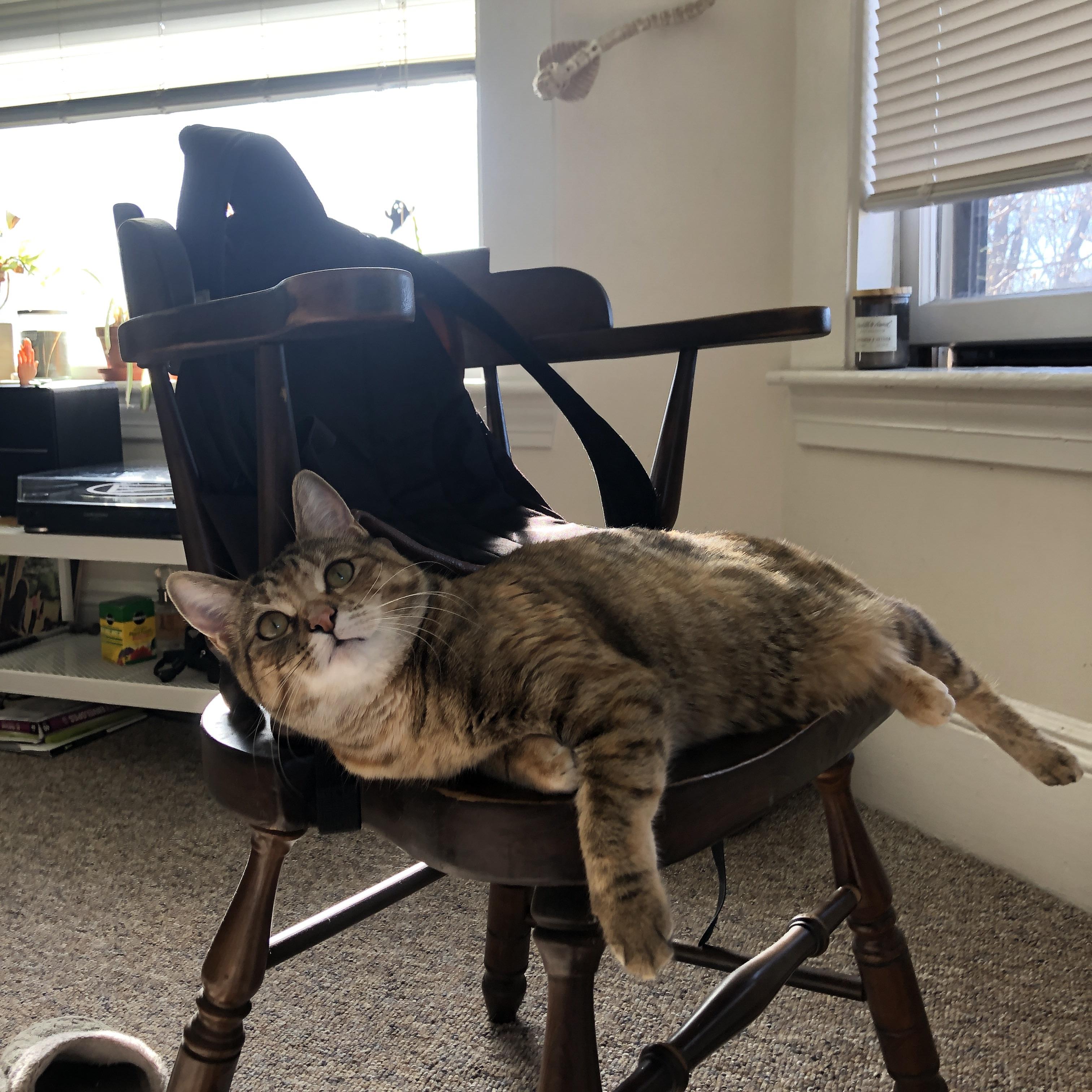 乌拉圭队整体实力提升,国际赛场志在夺冠