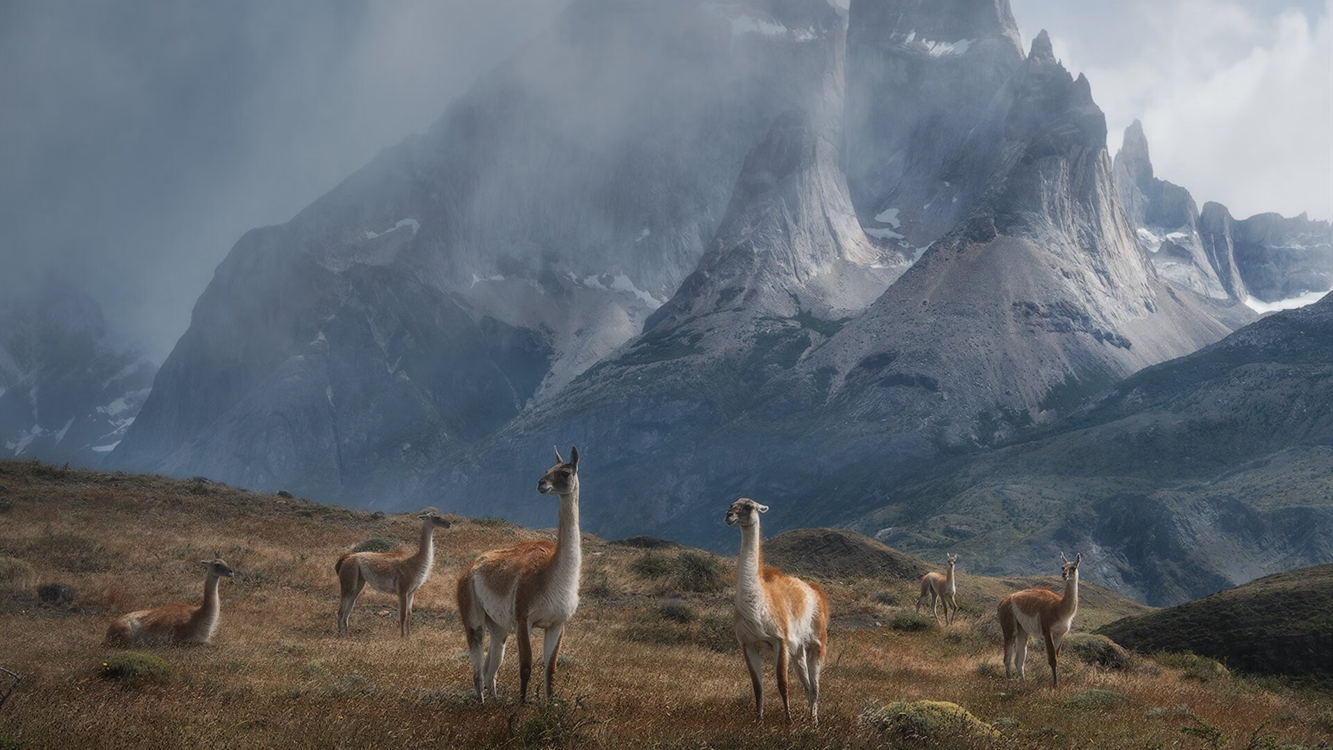 女篮国家队注重技术细节提升执行力，国家女子篮球队队长