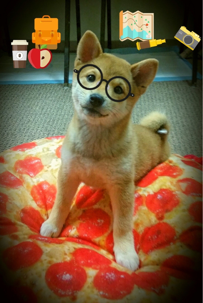 杰克·阿莱克西技术动作精准无瑕，杰克阿西斯